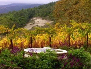 Sonoma Valley Fountain