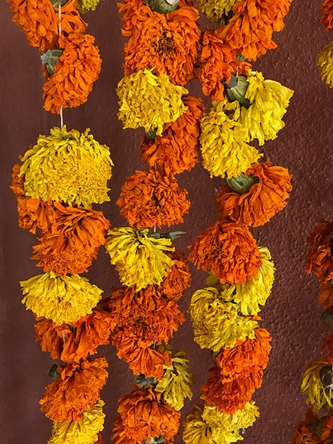 Orange and gold marigolds to honor our loved ones