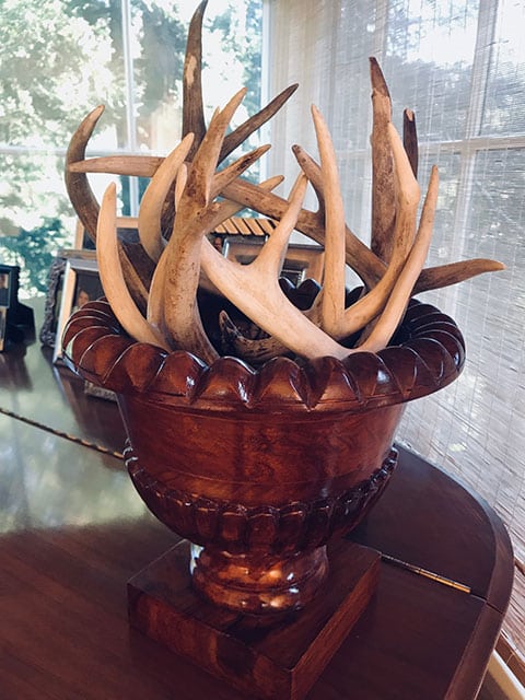 A collection of deer antlers fill an elegant bowl on the piano