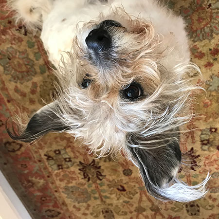 Mom thinks I'm a piece of art even when I'm upside down