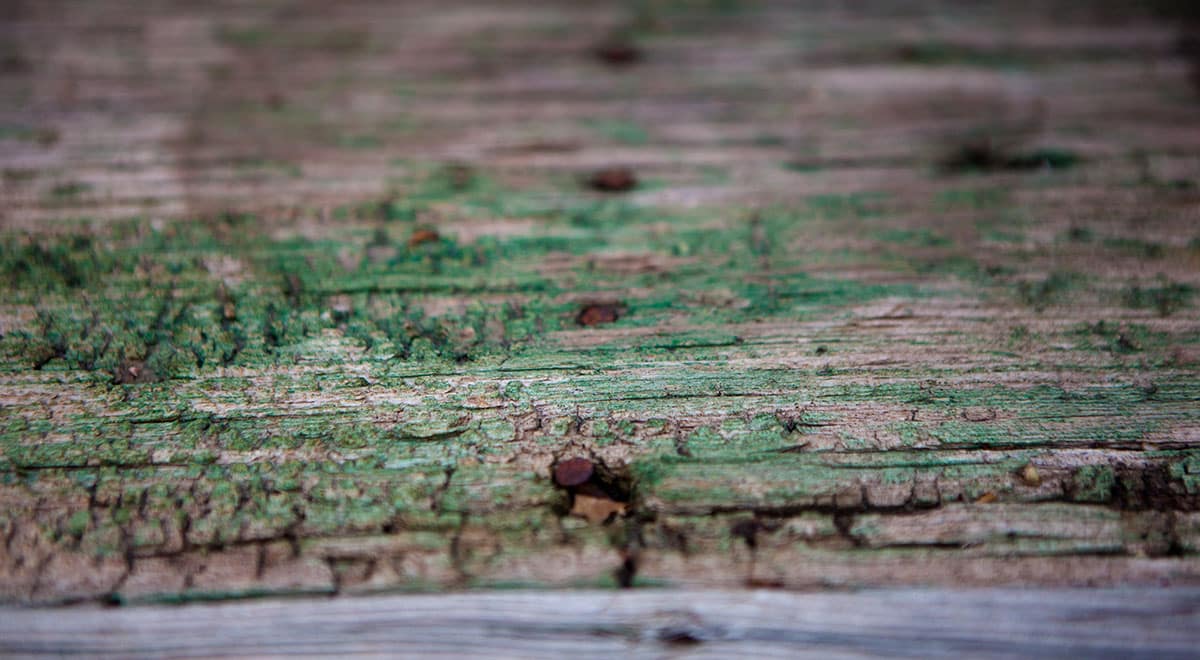 Rustic Painted Table Texture.