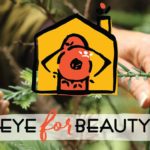 Eye for Beauty