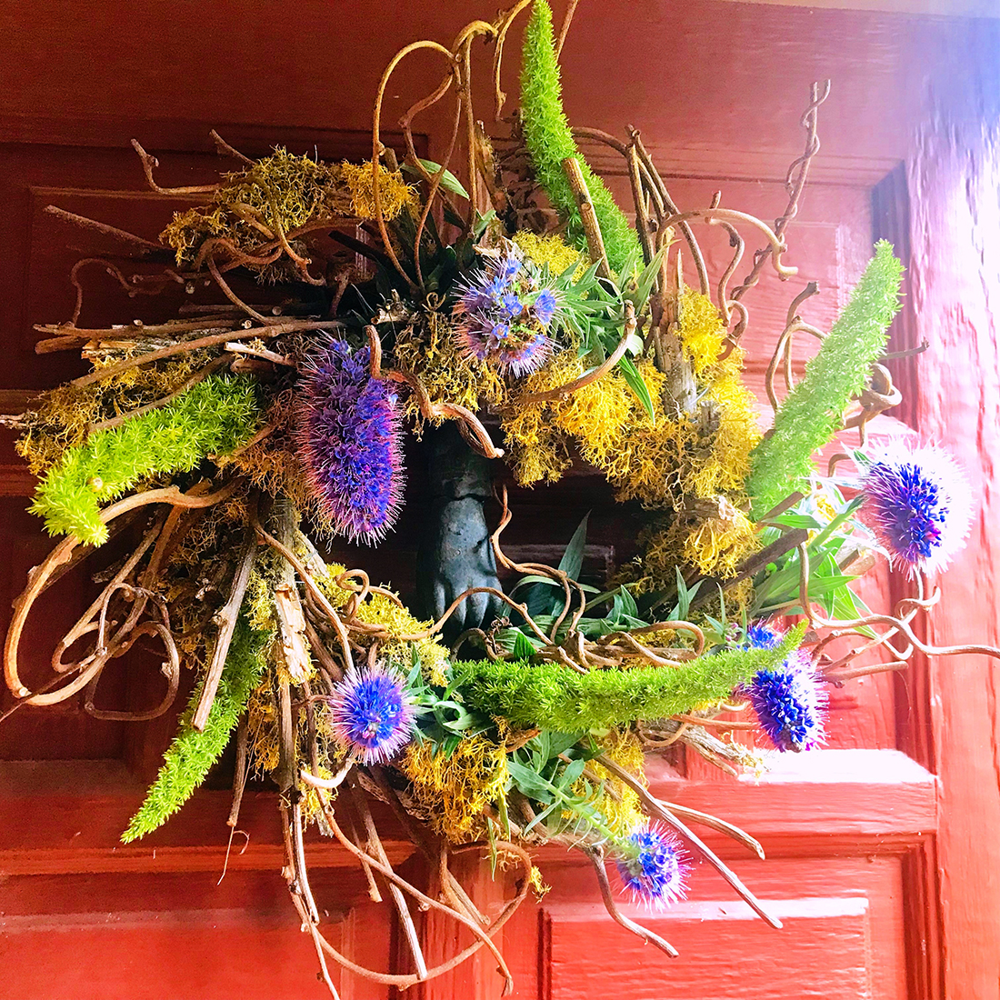 Purple thistles transformed the dried, worn-out wreath on the front door.
