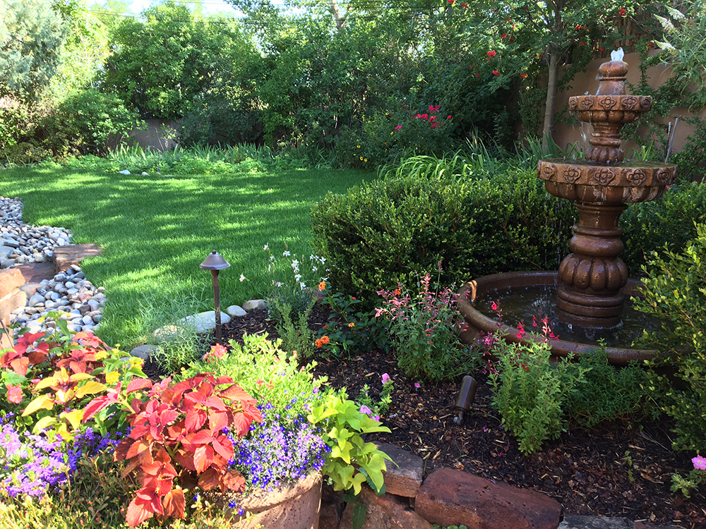 Create a water feature in your garden to fill your senses with the beauty of sound