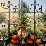 Rusted Gate with Pumpkins