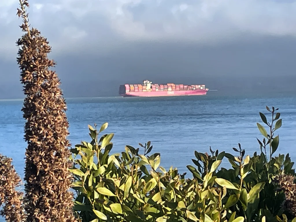 Pink container ship