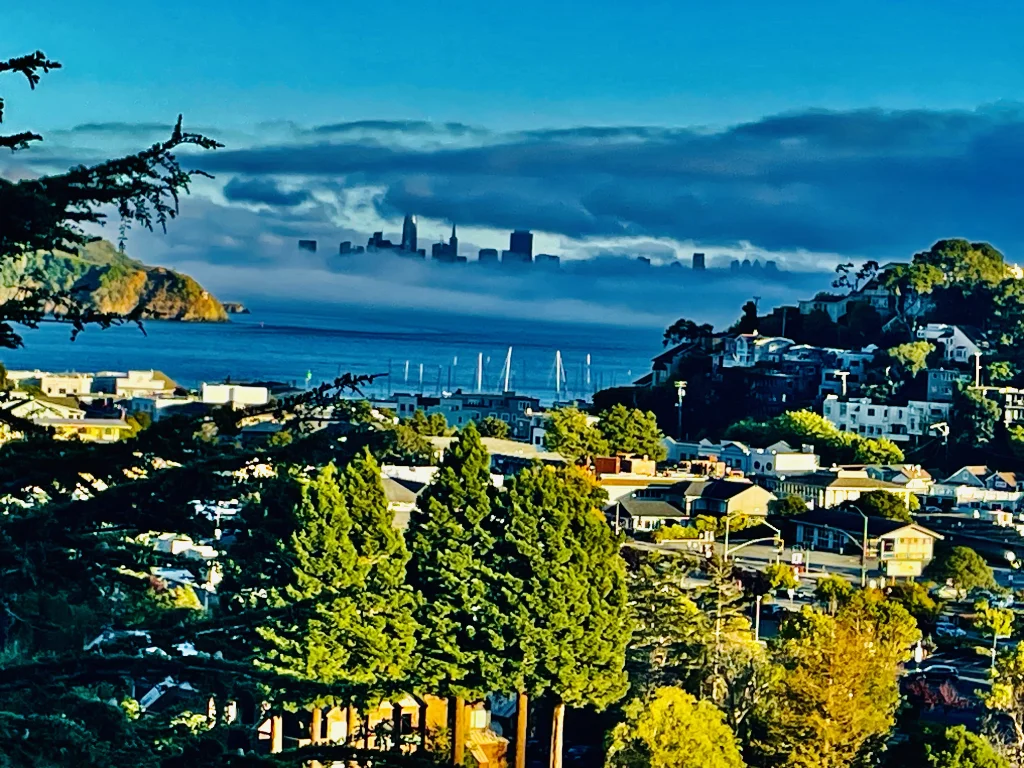 SF skyline peeking through