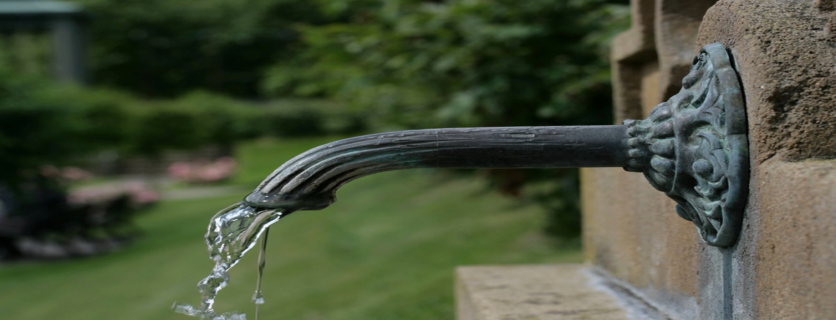 The Sensuality of Water