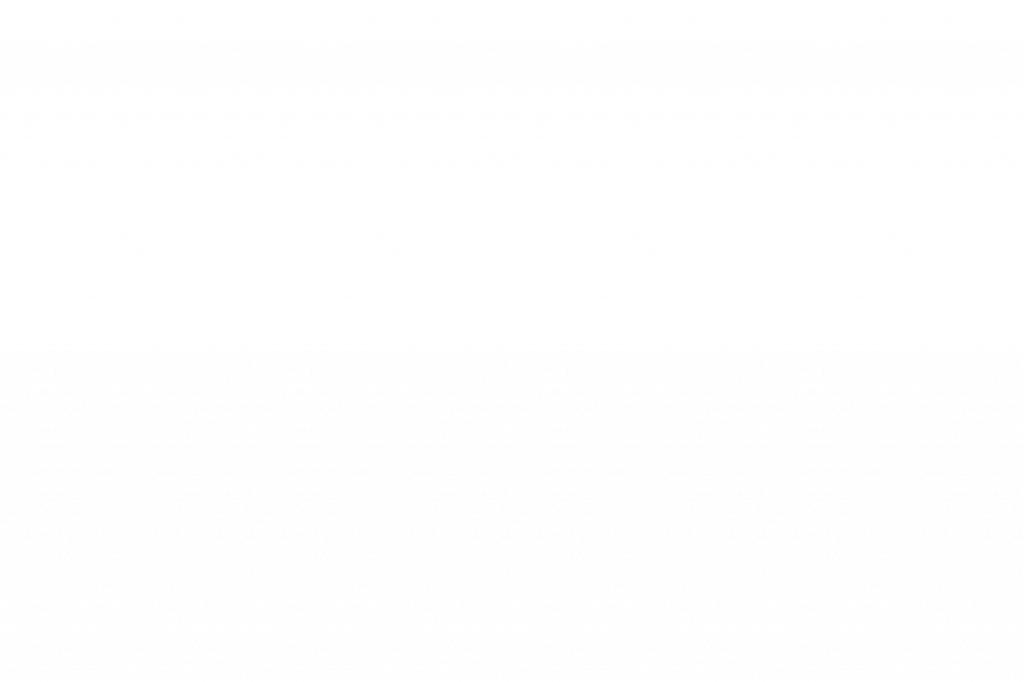 Tiburon Transformation II